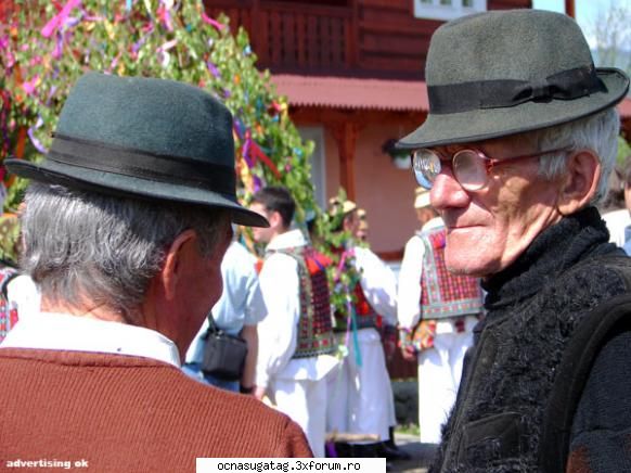 tanjaua 2007